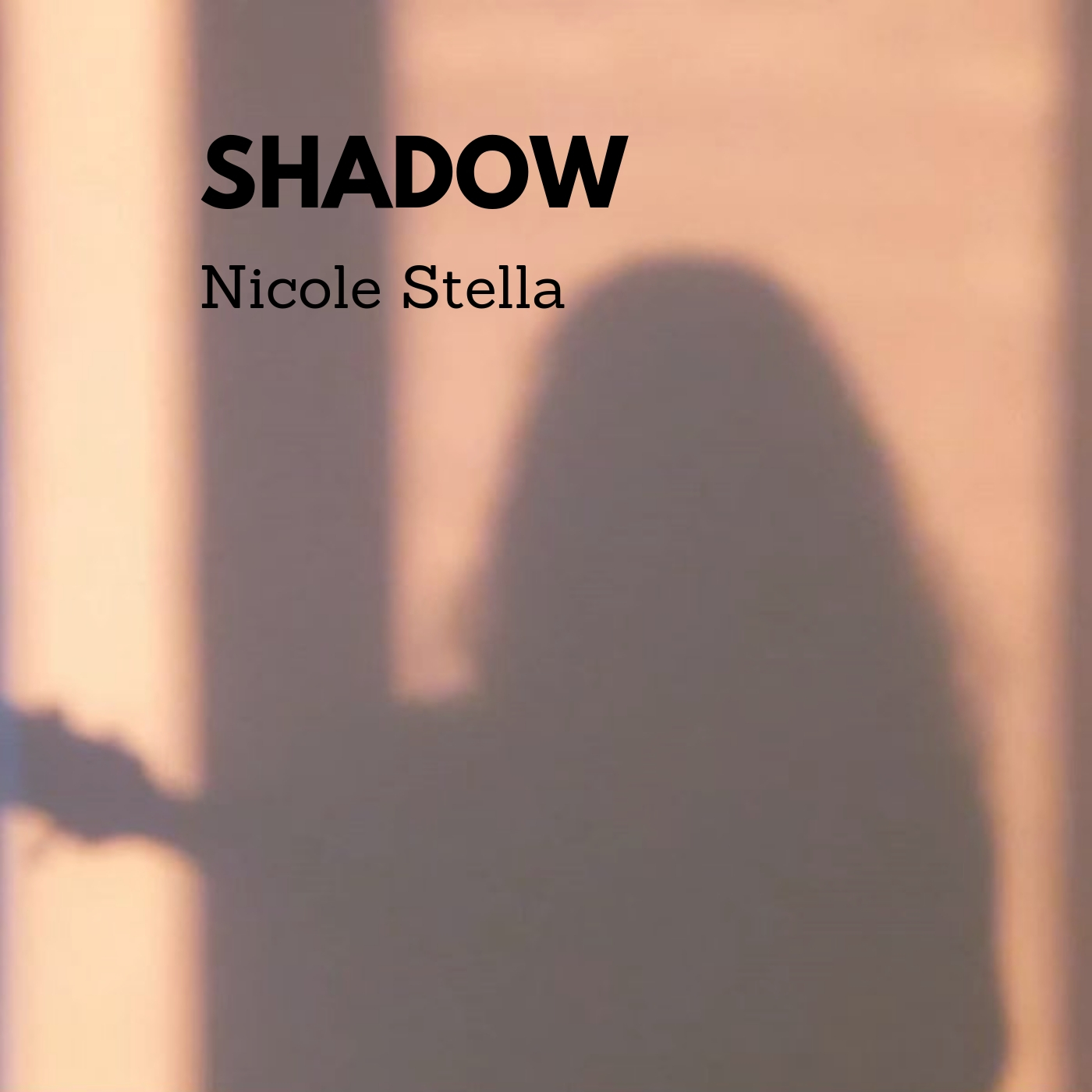 Shadow Cover Art